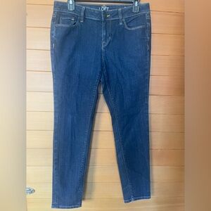 Loft Ann Taylor Modern Skinny Women's Dark Wash Denim Jeans Size 8P